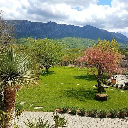 Wine Cellar Room Vipava Dış mekan fotoğraf